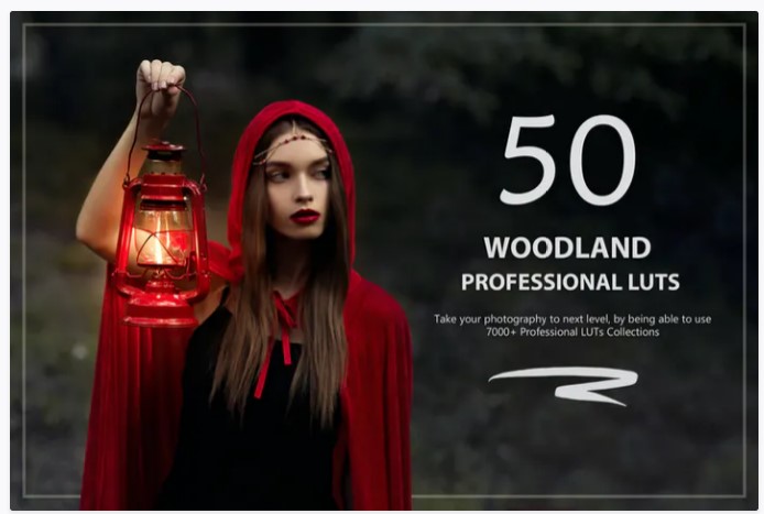 [Elements.Envato] 50 Woodland LUTs and Presets Pac_0.jpg